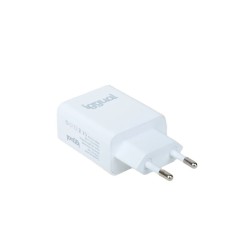 iggual Cargador de pared 1xUSB 5V-2.4A (12W)