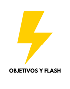 OBJETIVOS Y FLASH