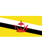 ESIM PARA BRUNEI DARUSSALAM